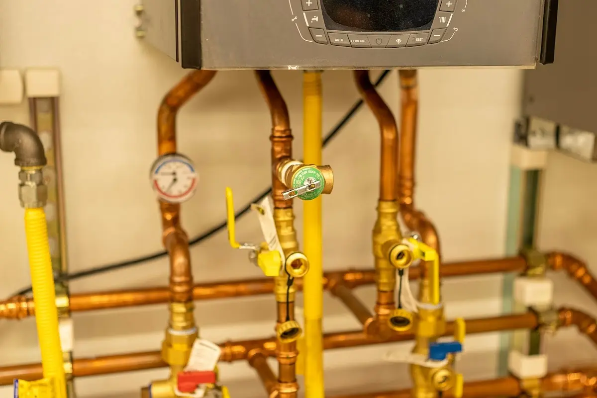 Licensed technician providing Sump Pump Repair for a homeowner in Lisle